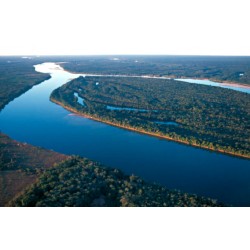 BNDES e parceiros lançam edital de R$ 26,7 mi do Floresta Viva para restauro ecológico na bacia do Xingu